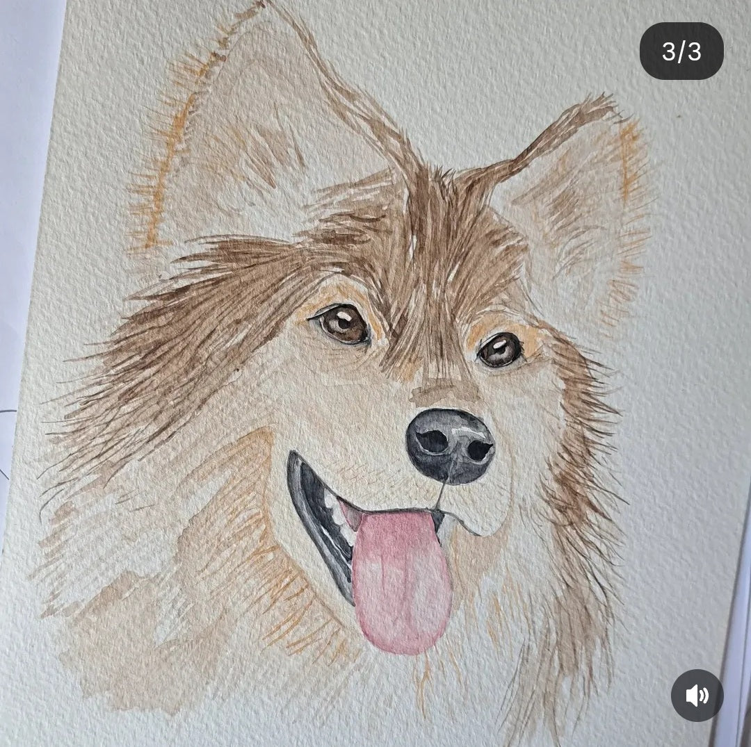 Mes réalisations